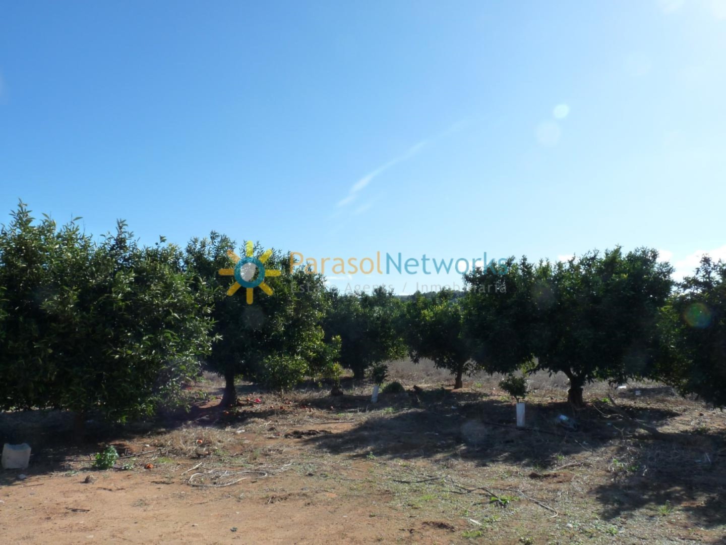 Land for sale in Carcaixent- Ref:246