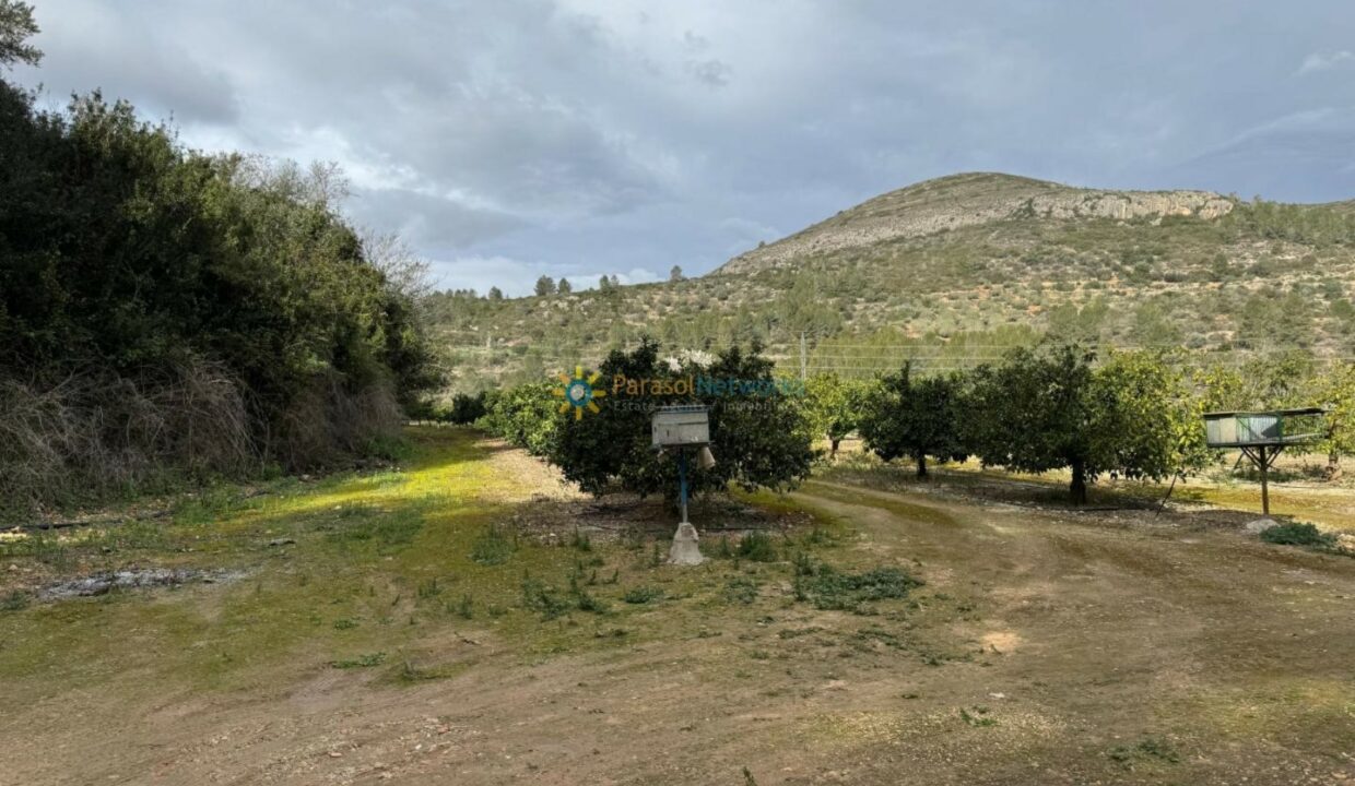 1739536697566
