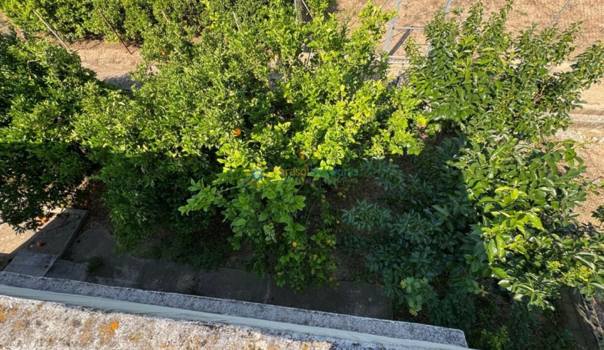 1748861724540
