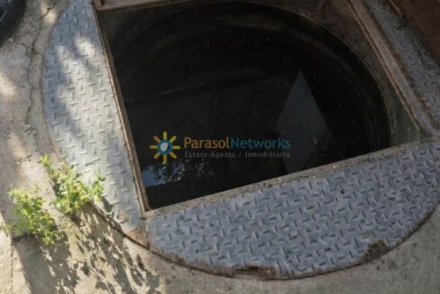 Agujero de acceso con planta verde