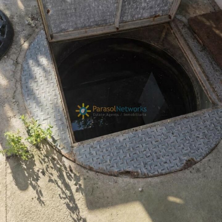 Agujero de acceso con planta verde