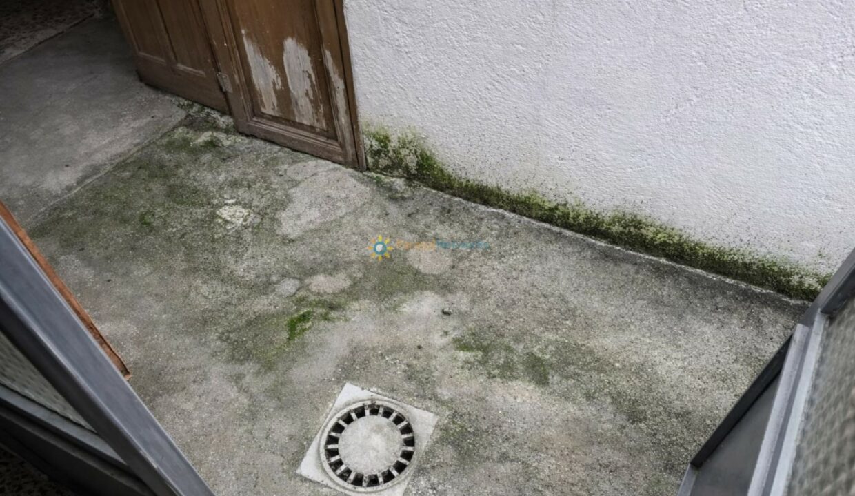 Área exterior con musgo y puerta