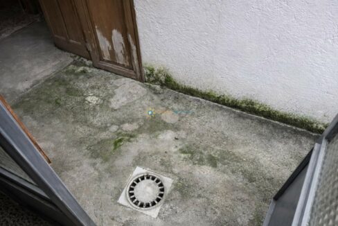 Área exterior con musgo y puerta