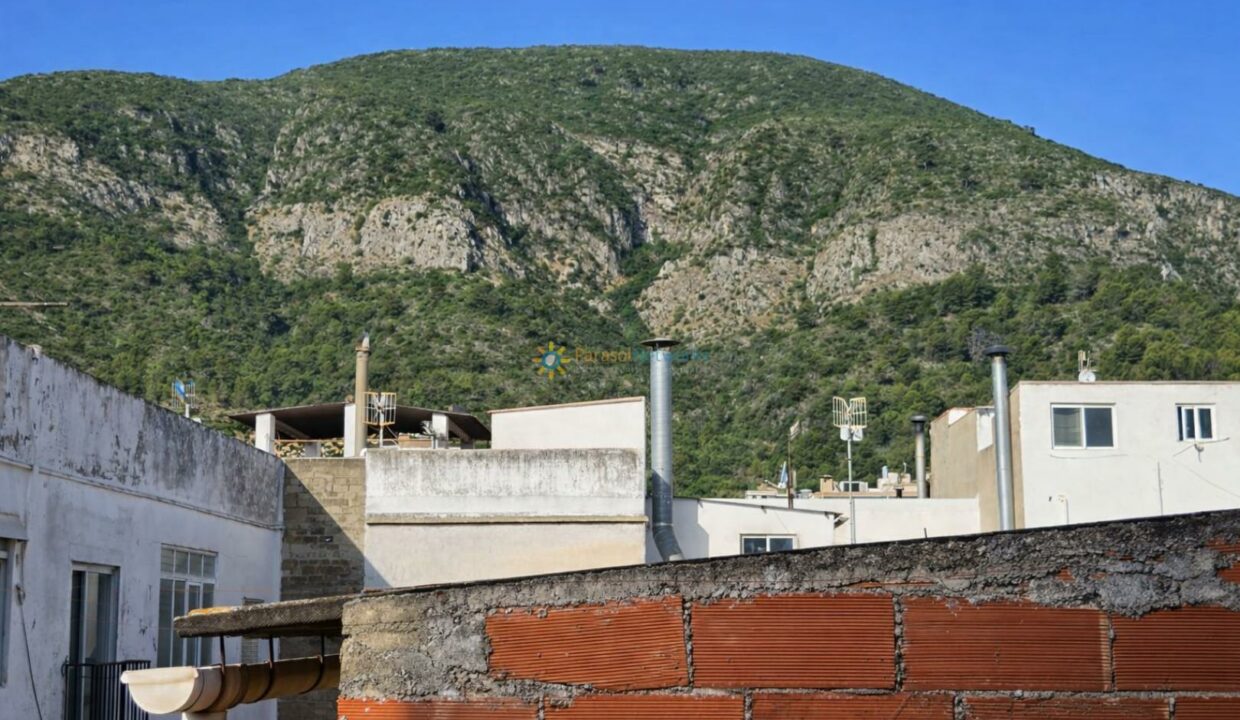 Azoteas urbanas y montaña verde
