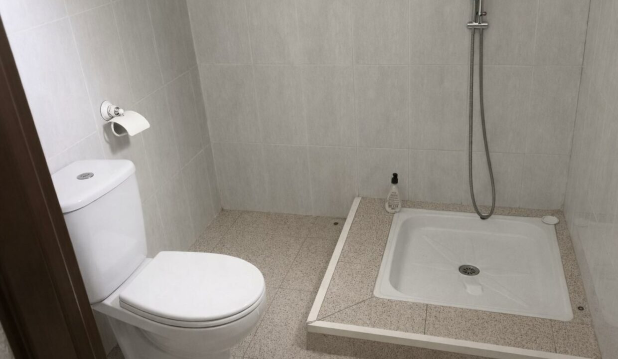 Baño con sanitario y ducha moderna