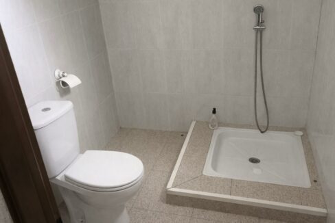 Baño con sanitario y ducha moderna