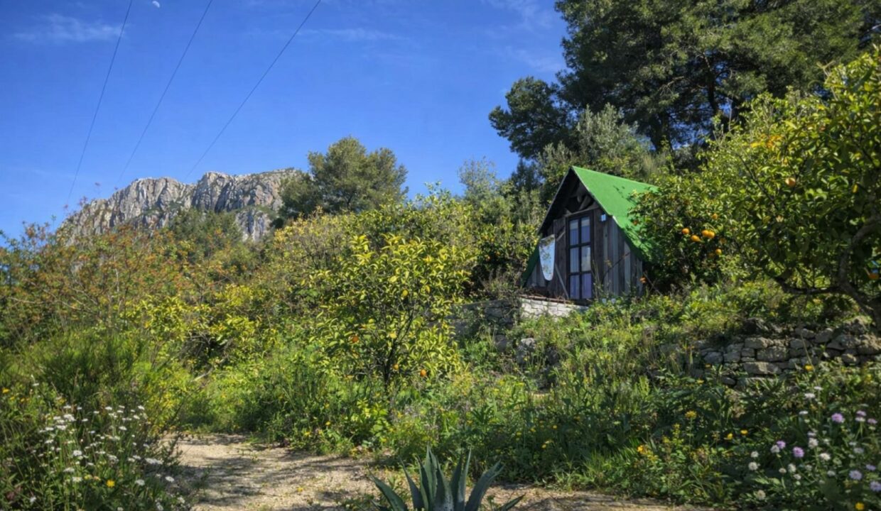 Cabaña en la ladera soleada