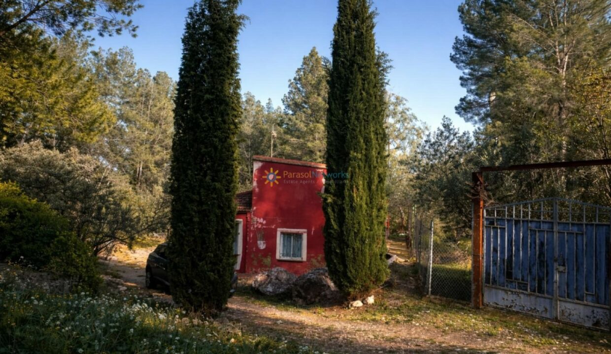 Cabaña roja entre cipreses verdes