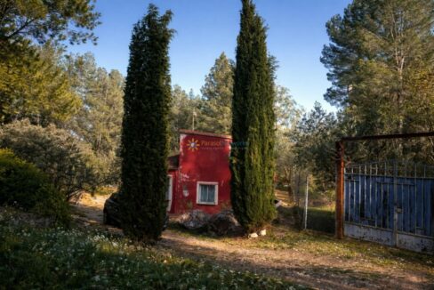 Cabaña roja entre cipreses verdes