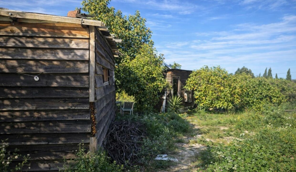 Cabañas rústicas en paisaje rural