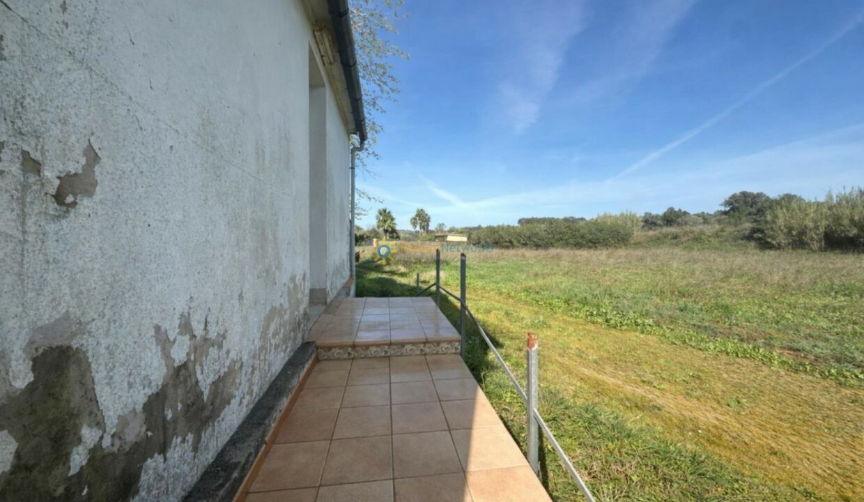 Caminando hacia el campo abierto