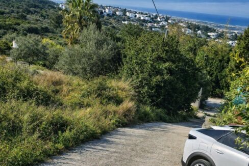 Camino costero con vista al mar