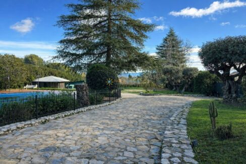 Camino de piedra en jardín soleado