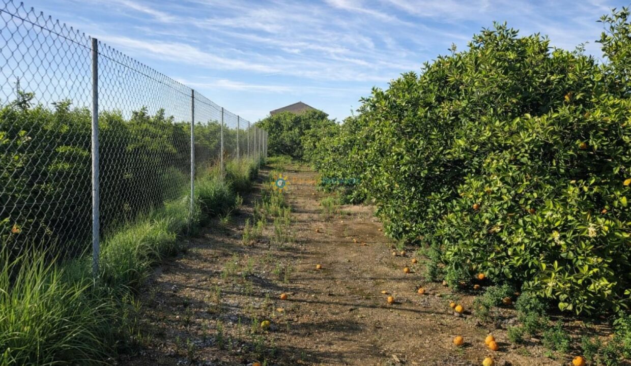 Camino entre la cerca y huerto