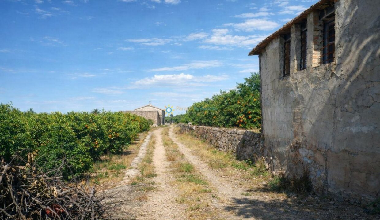 Camino hacia la capilla rural