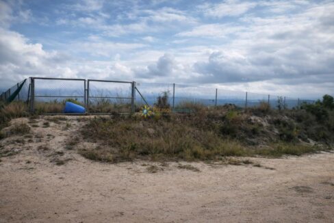 Camino polvoriento hacia la cerca