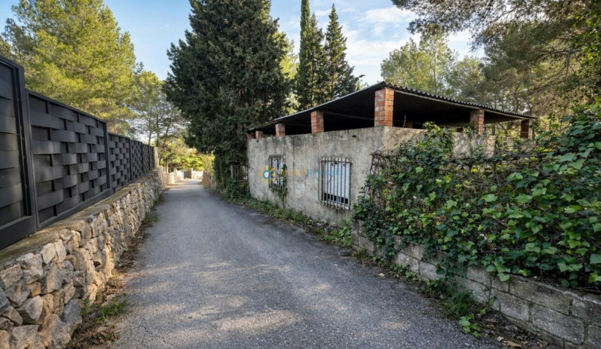 Camino rodeado de naturaleza y restos de edificio