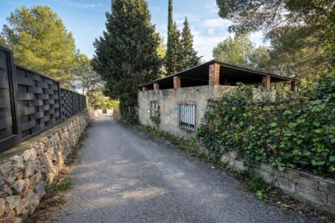 Camino rodeado de naturaleza y restos de edificio