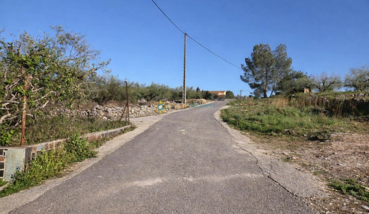 Camino rural bajo cielo claro