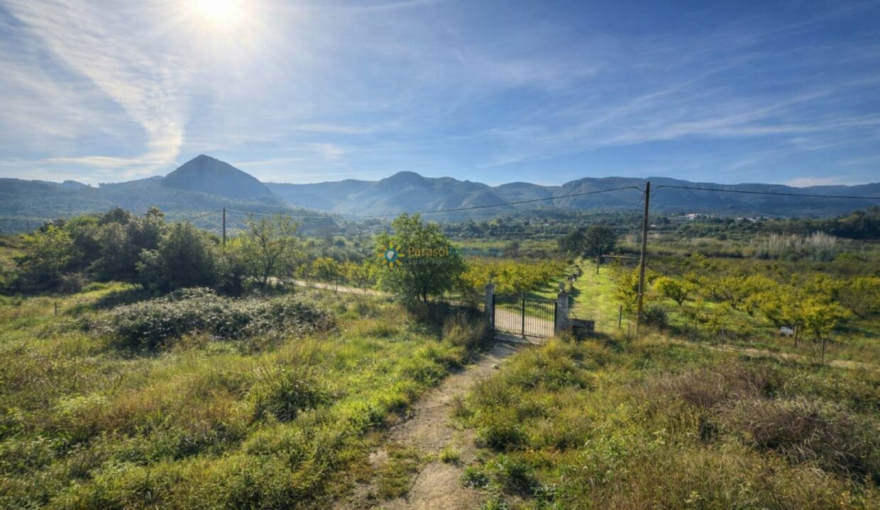 Camino rural bajo el sol brillante