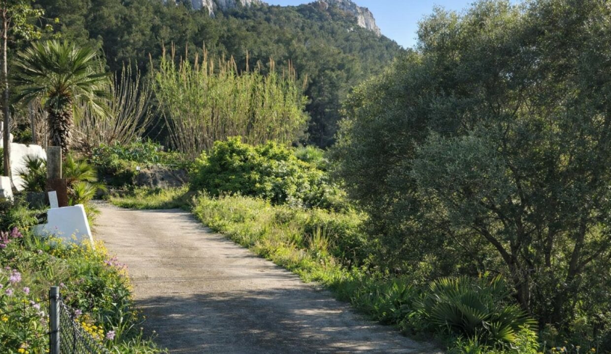 Camino rural bajo el sol mediterráneo