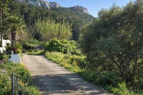 Camino rural bajo el sol mediterráneo