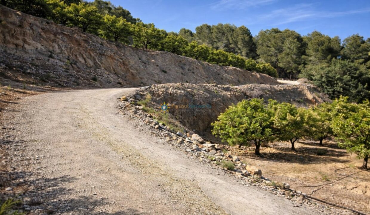 Camino rural en el bosque mediterráneo