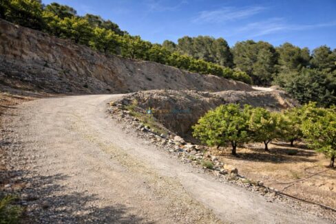 Camino rural en el bosque mediterráneo