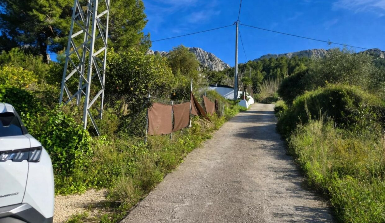 Camino rural en paisaje mediterráneo