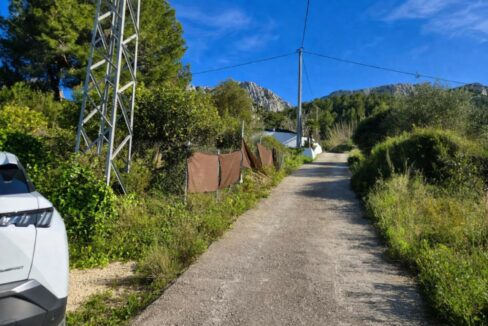 Camino rural en paisaje mediterráneo