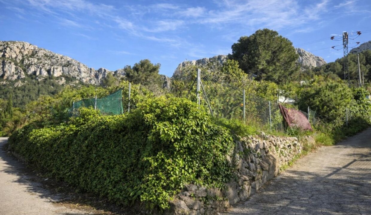 Camino rural entre montañas y vegetación
