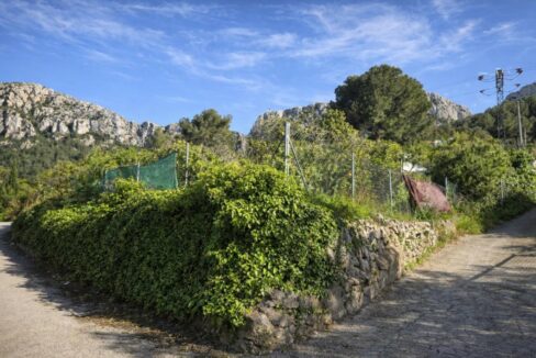 Camino rural entre montañas y vegetación