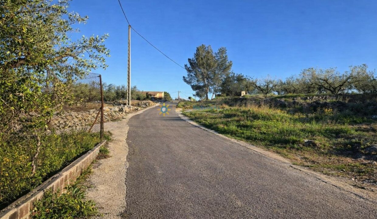 Camino rural hacia la casa amarilla