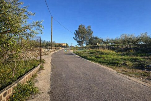 Camino rural hacia la casa amarilla