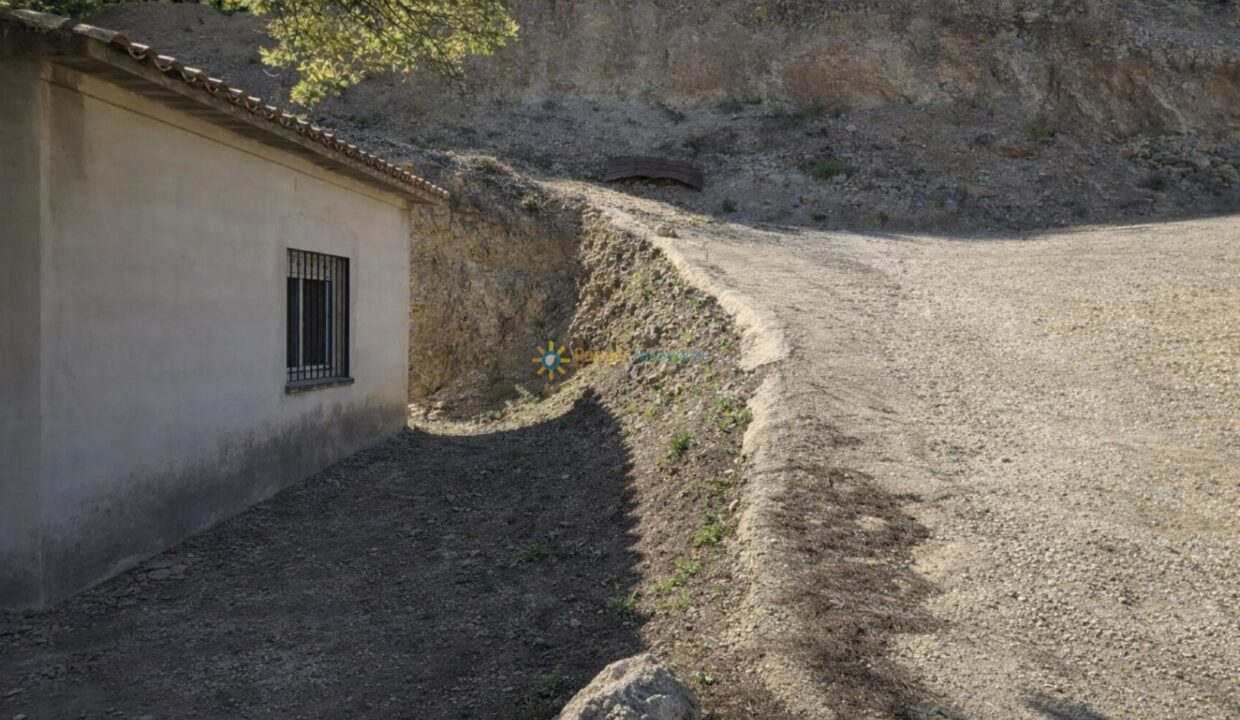 Camino rural hacia un túnel