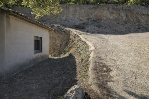 Camino rural hacia un túnel