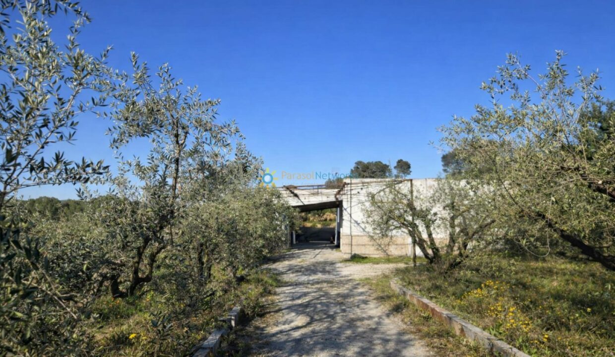 Camino rural hacia una edificación abandonada