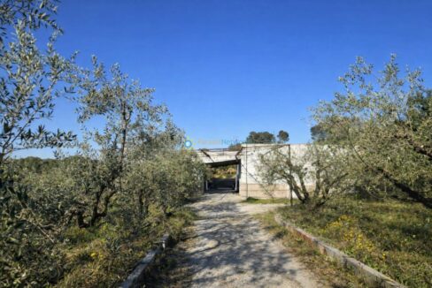 Camino rural hacia una edificación abandonada