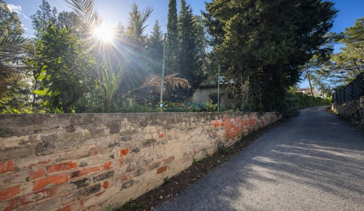 Camino rural junto a muro antiguo