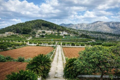 Camino rural mediterráneo entre huertos