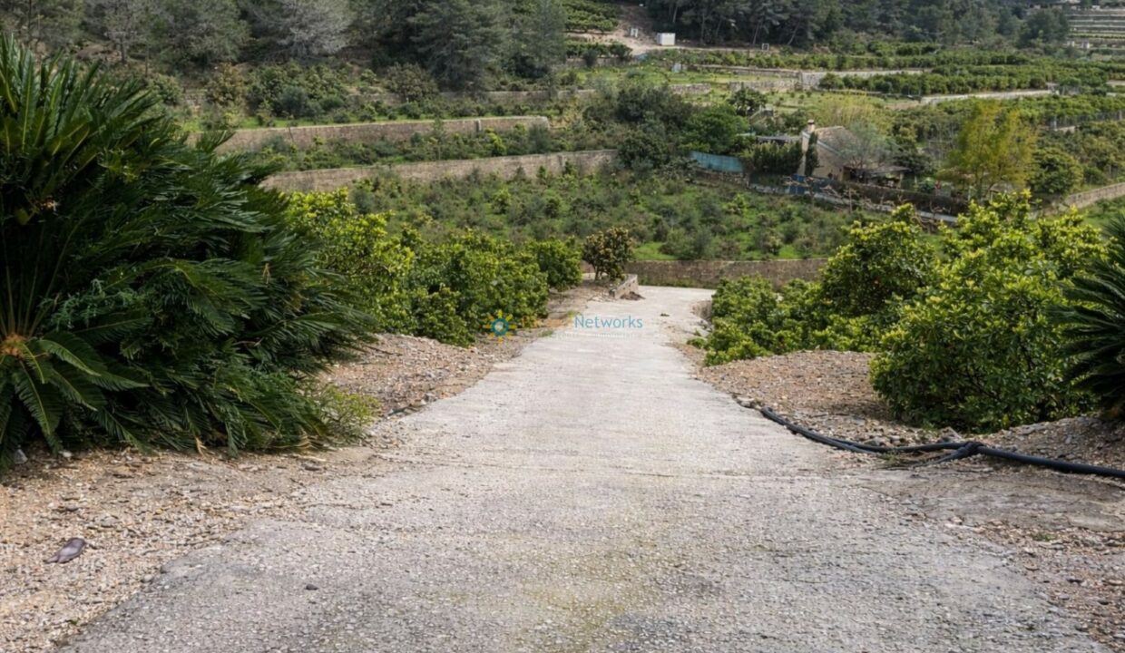 Camino rural rodeado de naturaleza
