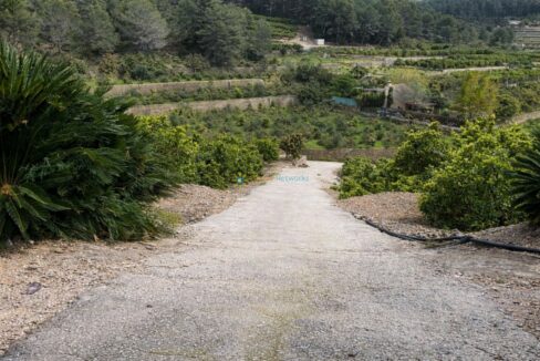 Camino rural rodeado de naturaleza