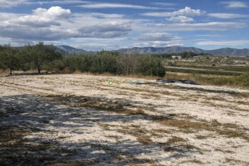 Campo árido y olivares bajo el sol