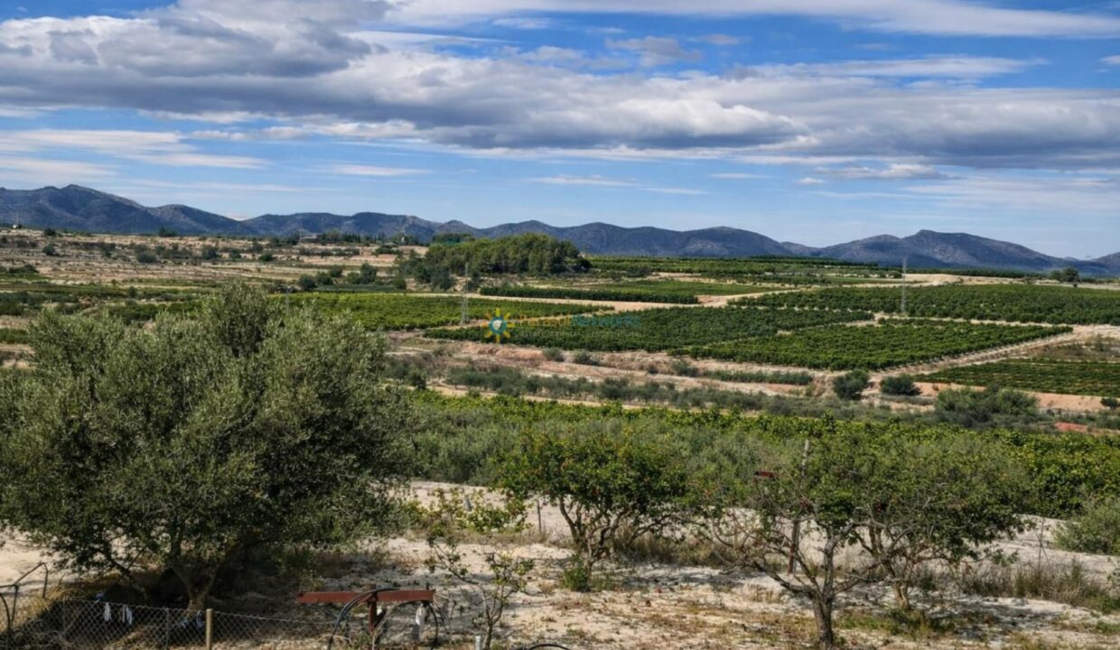 Campo mediterráneo con árboles y montañas