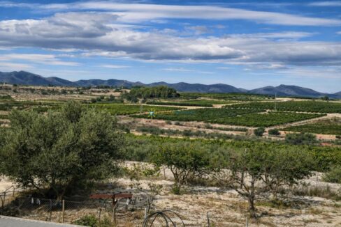 Campo mediterráneo con árboles y montañas