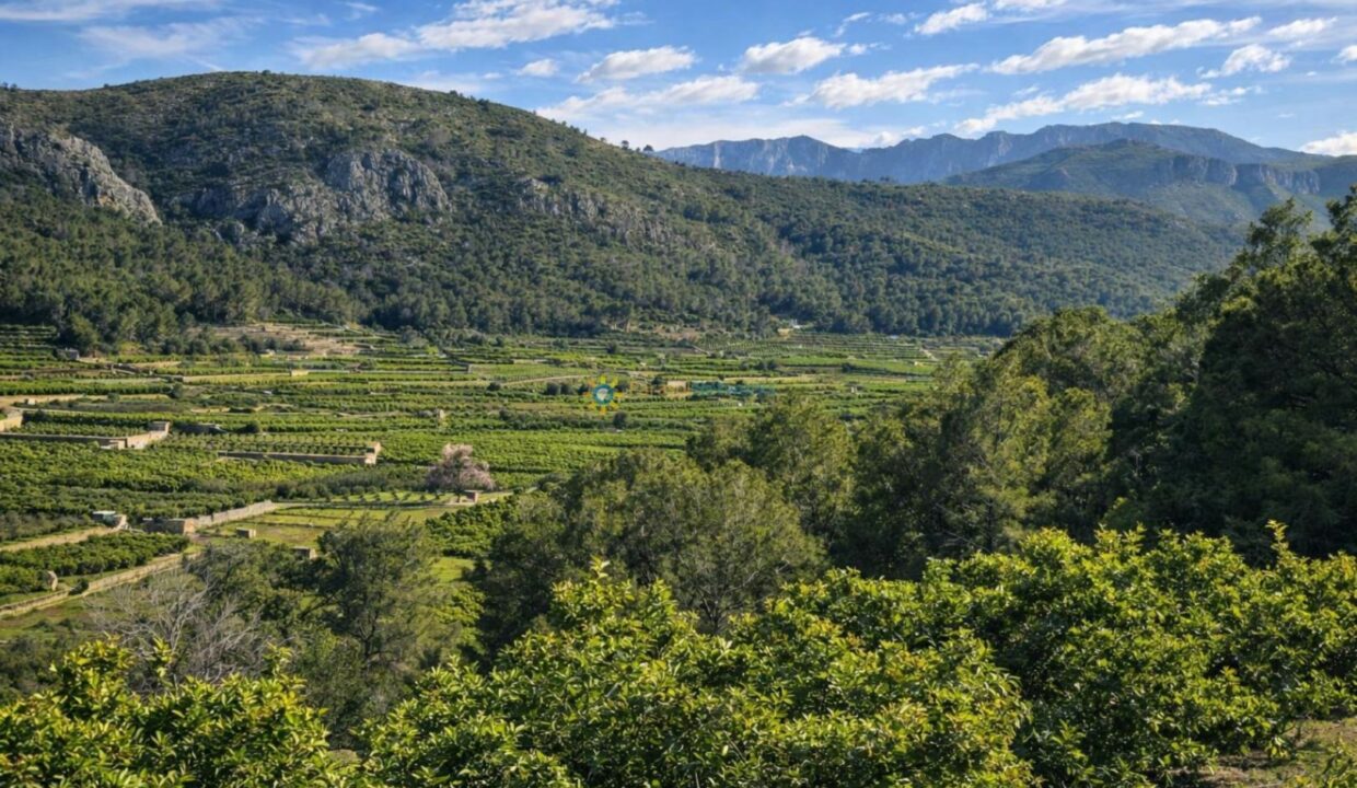 Campos en terrazas y montañas verdes