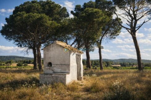 Capilla en el campo iluminada por el sol