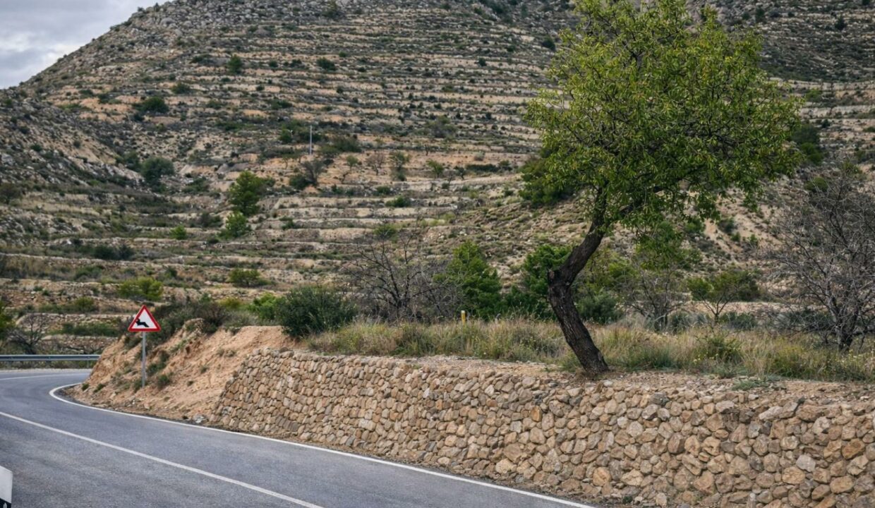 Carretera serpenteante en la montaña