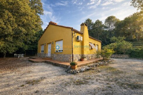 Casa amarilla en el bosque