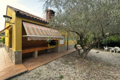 Casa mediterránea con oliva en jardín